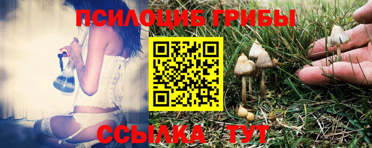 Псилоцибиновые грибы ЛСД Сибай