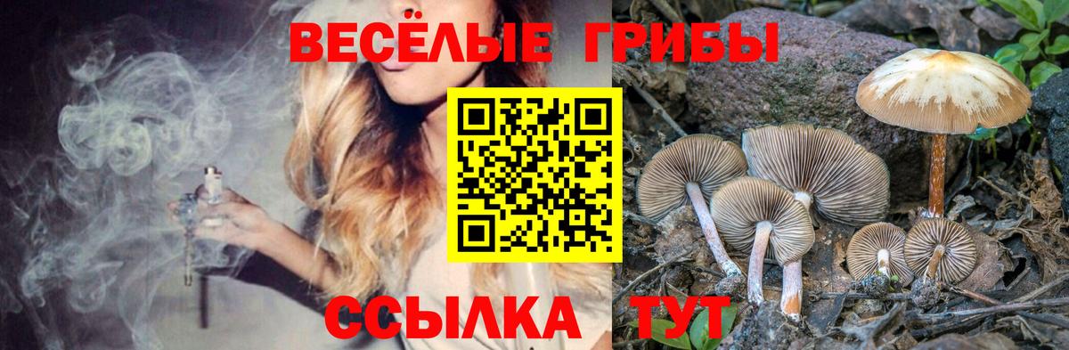 Сибай  что такое наркотик  Псилоцибиновые грибы MAGIC MUSHROOMS  Вход с VPN  Псилоцибиновые грибы мухоморы 